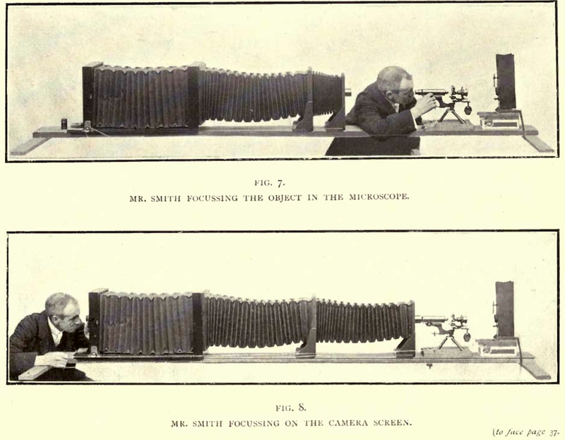 Illustration for article titled 110 Years Ago, These Microscopic Photos Horrified Londoners
